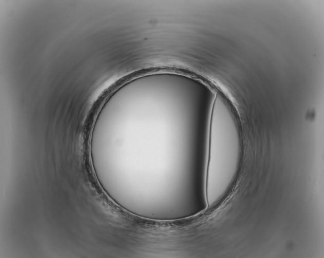 X0000091080975200708061041
