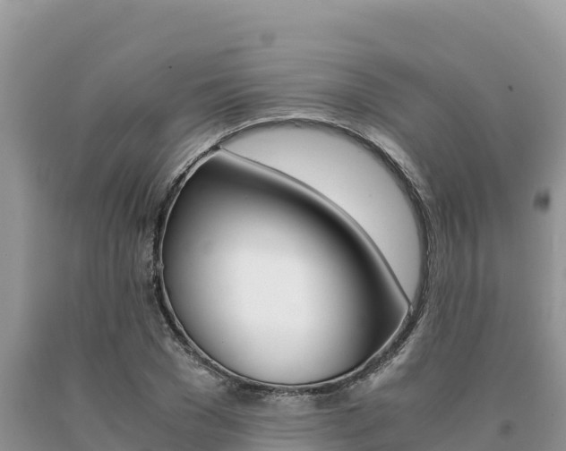 X0000091080977200708061041