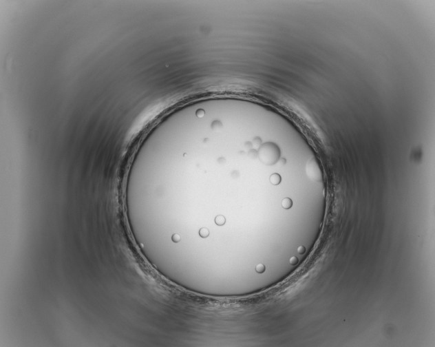 X0000091080978200708061041