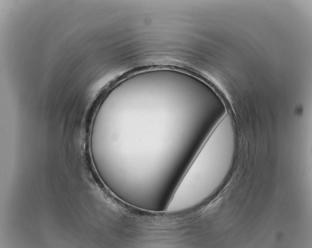 X0000091080979200708061041