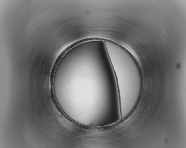 X0000091080980200708061041