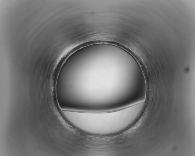 X0000091080981200708061041