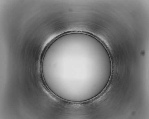 X0000091080982200708061041