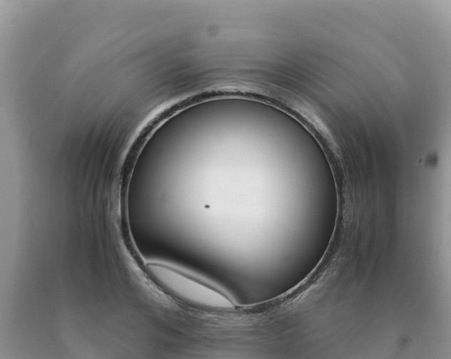 X0000091080984200708061041