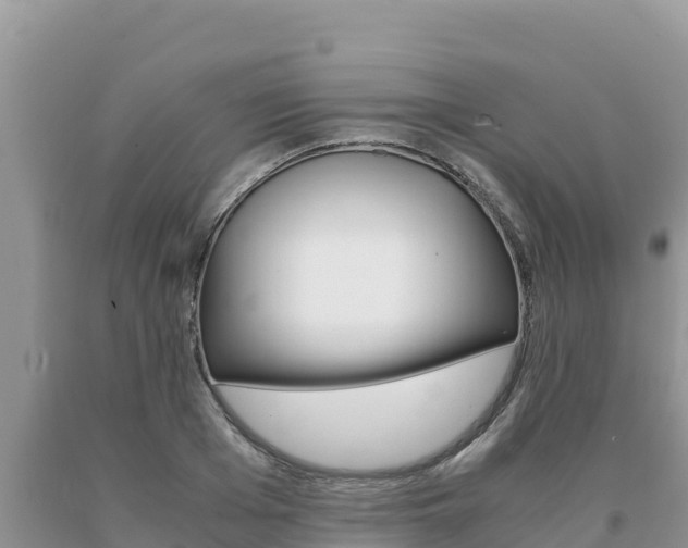 X0000091080985200708061041