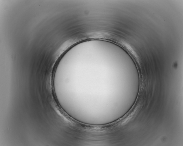 X0000091080986200708061041