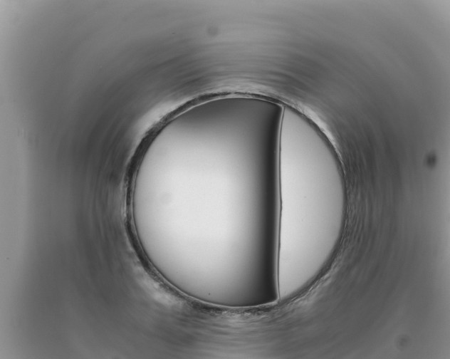 X0000091080987200708061041