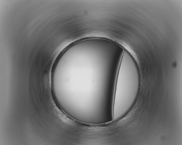 X0000091080988200708061041