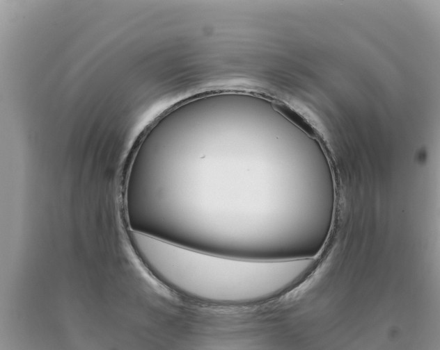 X0000091080989200708061041