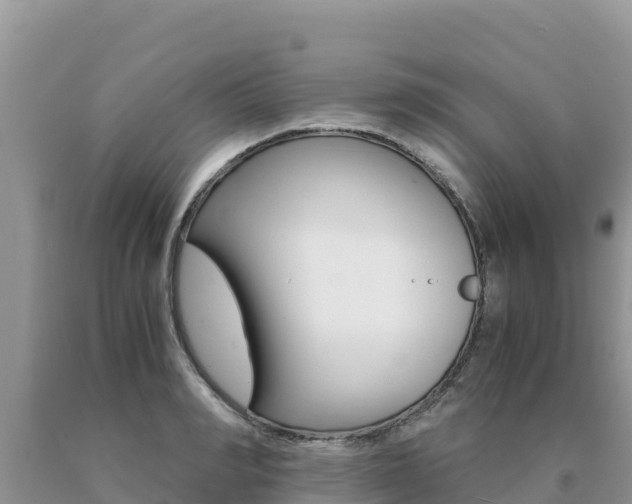 X0000091080990200708061041