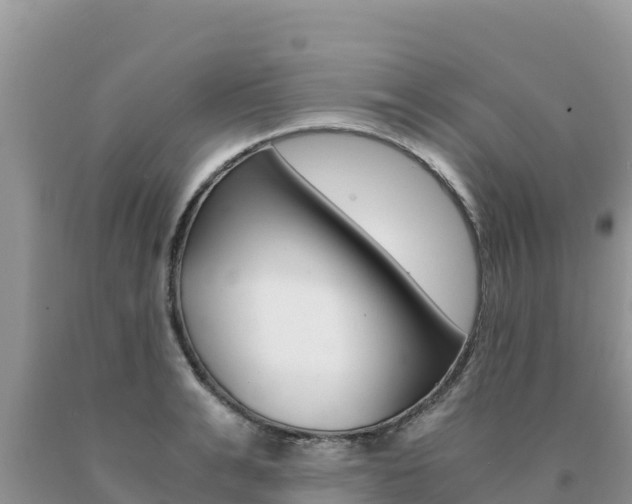 X0000091080991200708061041