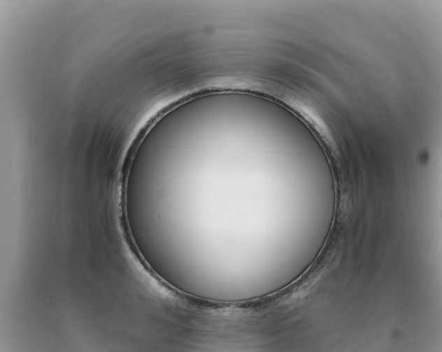 X0000091080992200708061041