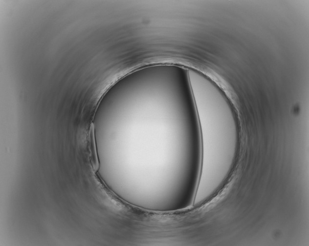X0000091080993200708061041
