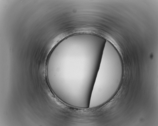 X0000091080994200708061041