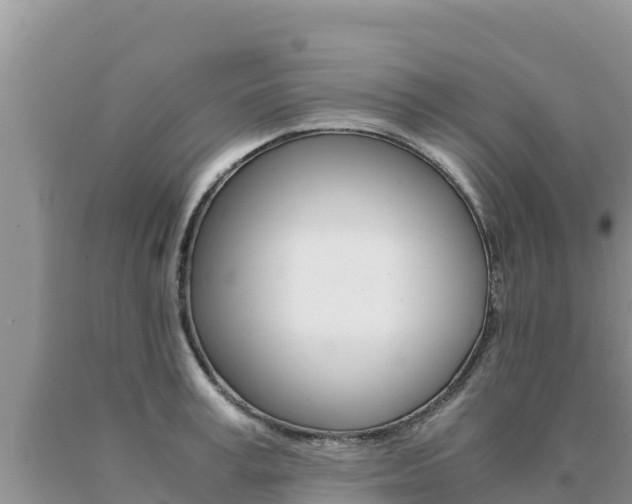 X0000091080995200708061041