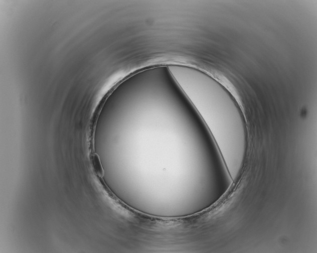 X0000091080997200708061041