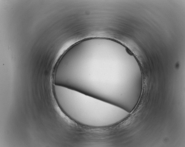 X0000091080998200708061041