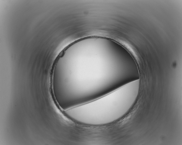 X0000091080999200708061041