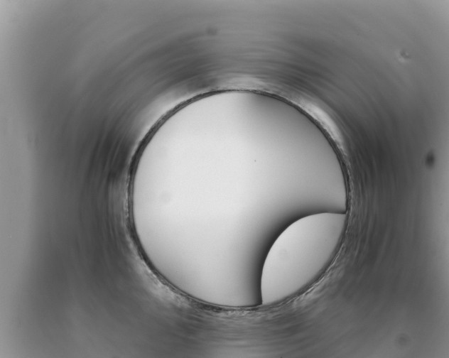 X0000091081000200708061041