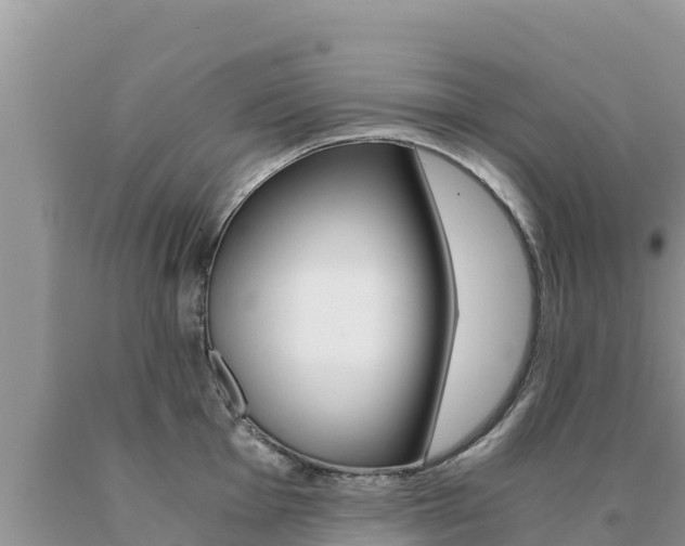 X0000091081001200708061041