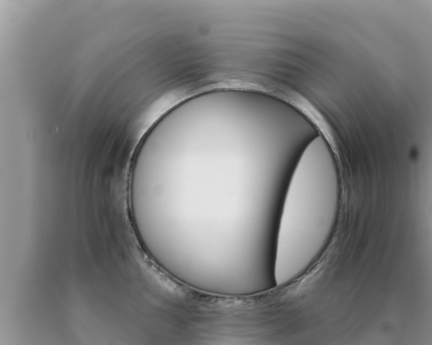 X0000091081002200708061041