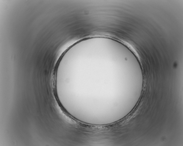 X0000091081003200708061041