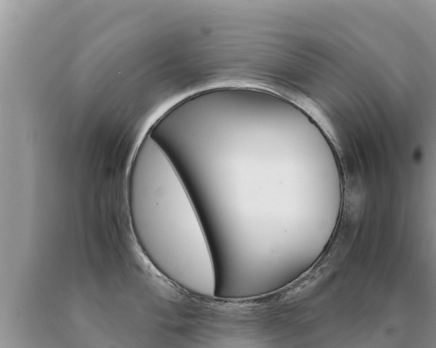 X0000091081004200708061041