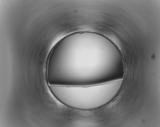 X0000091081007200708061041