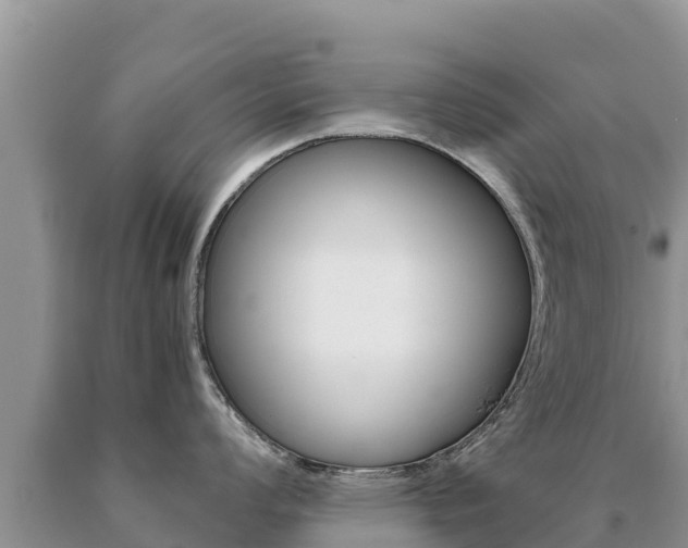 X0000091081008200708061041