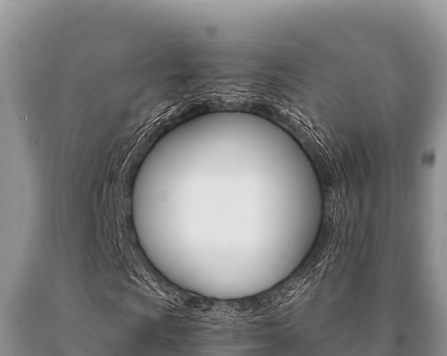 X0000091081009200708061040