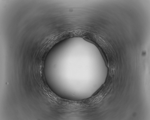 X0000091081010200708061040