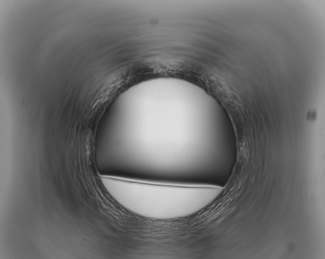 X0000091081012200708061040
