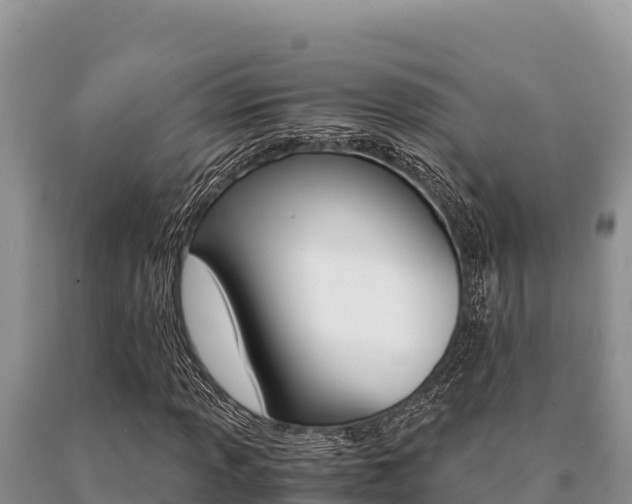X0000091081013200708061040
