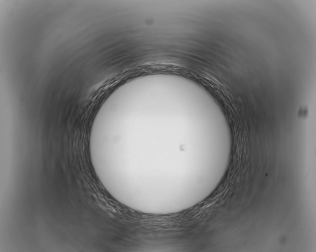 X0000091081014200708061040