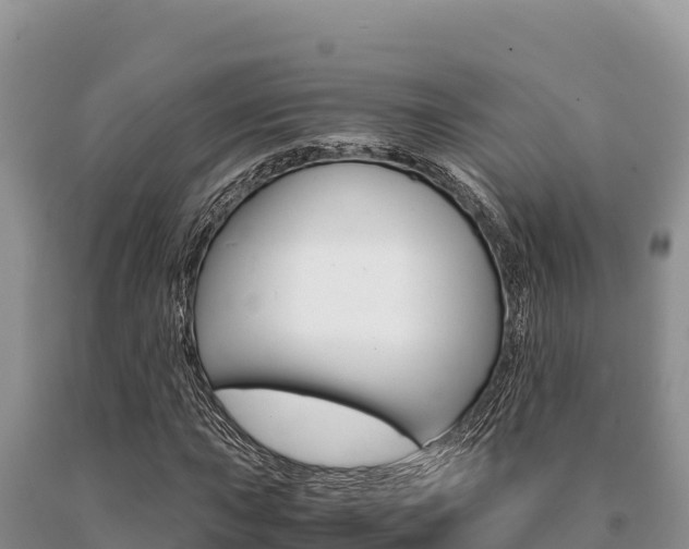 X0000091081015200708061040