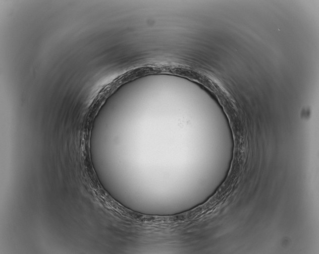 X0000091081016200708061040