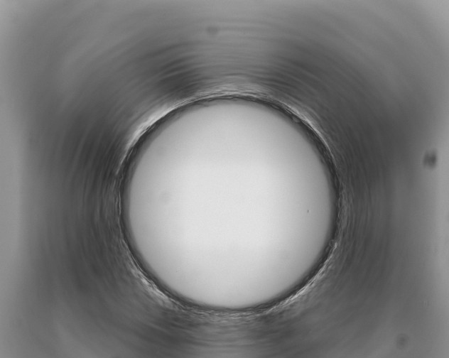 X0000091081018200708061040