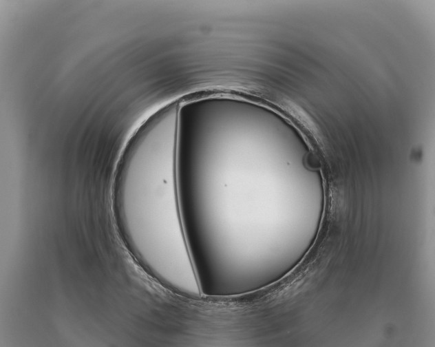 X0000091081020200708061040