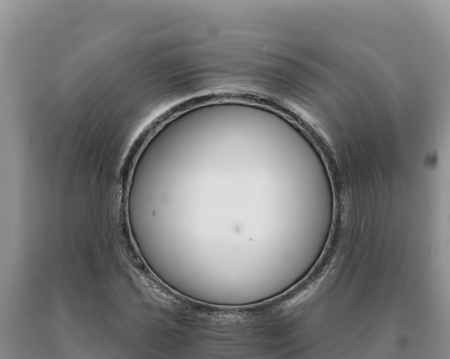 X0000091081021200708061040