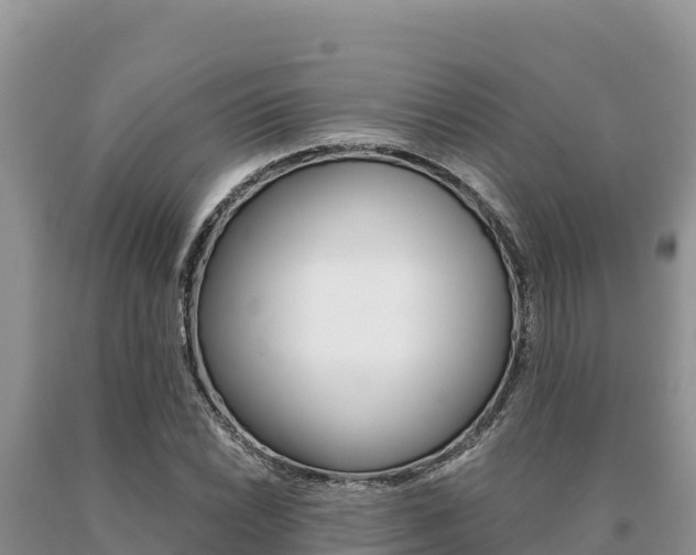 X0000091081022200708061040