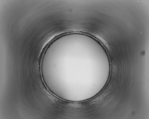 X0000091081023200708061041