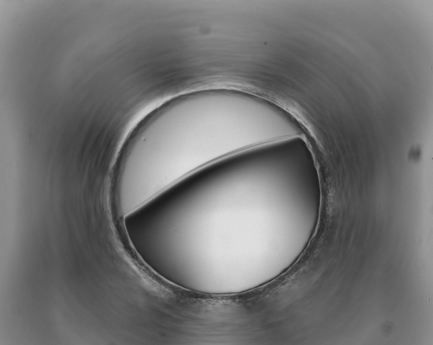 X0000091081024200708061041