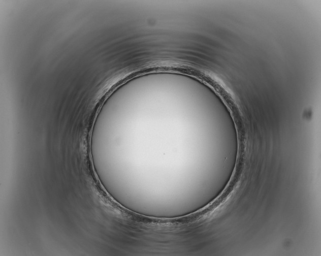 X0000091081025200708061041