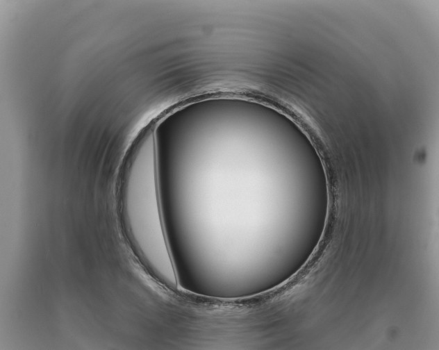 X0000091081026200708061041