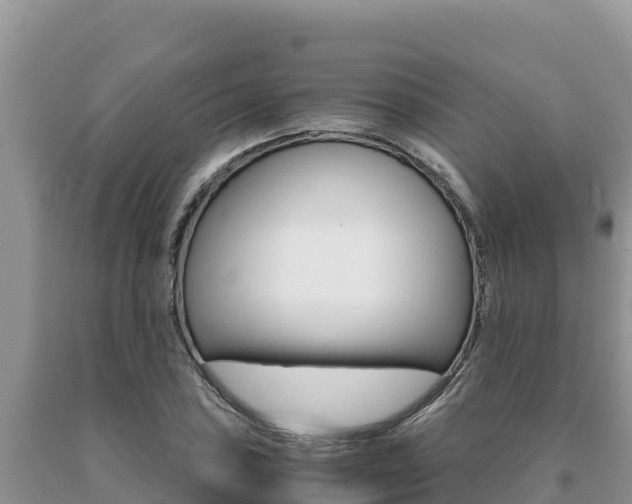 X0000091081027200708061041