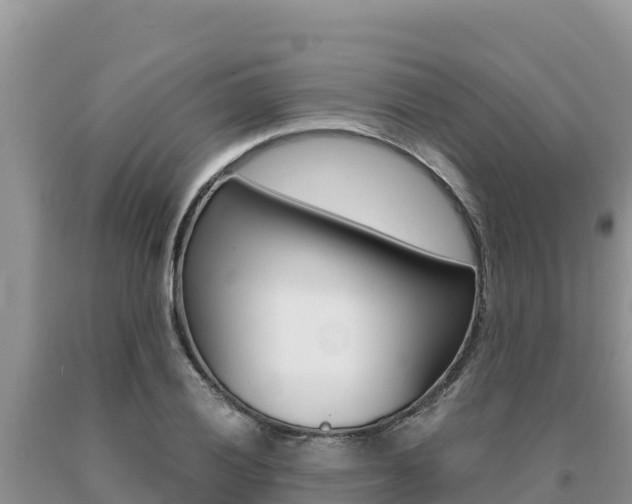 X0000091081028200708061041