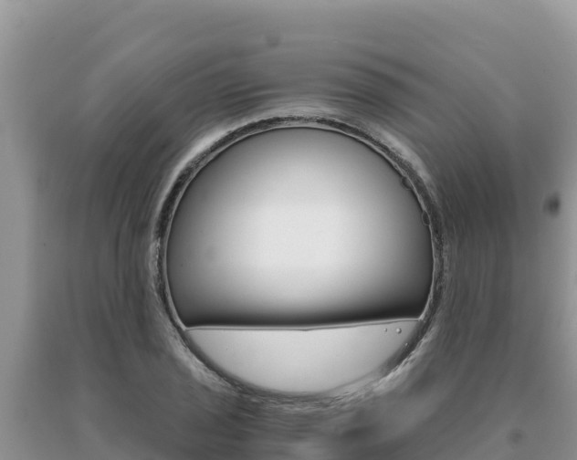 X0000091081029200708061041