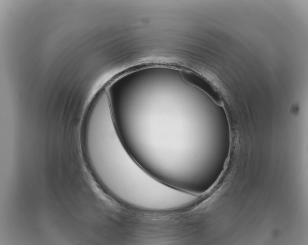 X0000091081030200708061041