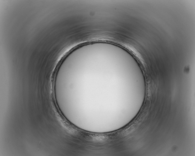 X0000091081031200708061041