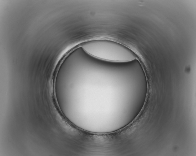 X0000091081032200708061041